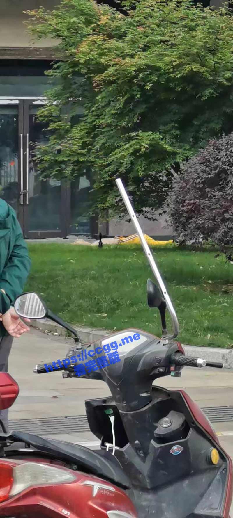 39.jpg