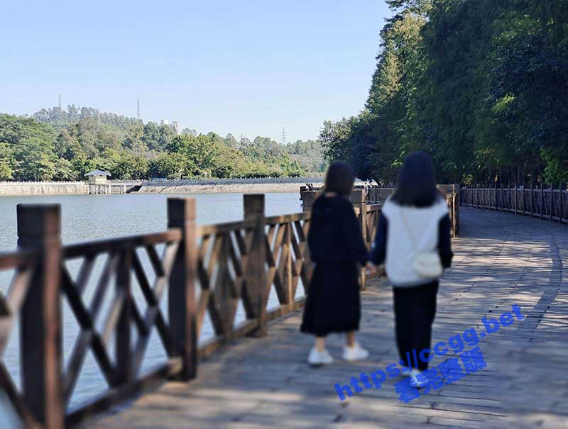 兄妹乱伦 禽兽哥哥精虫上脑竟下药迷奸妹妹 把妹妹操到冒白浆 无套操逼真的爽
