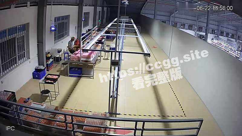 流水线早泄主管 潜规则厂妹监控流出 3秒完成内射后一本正经假装工作
