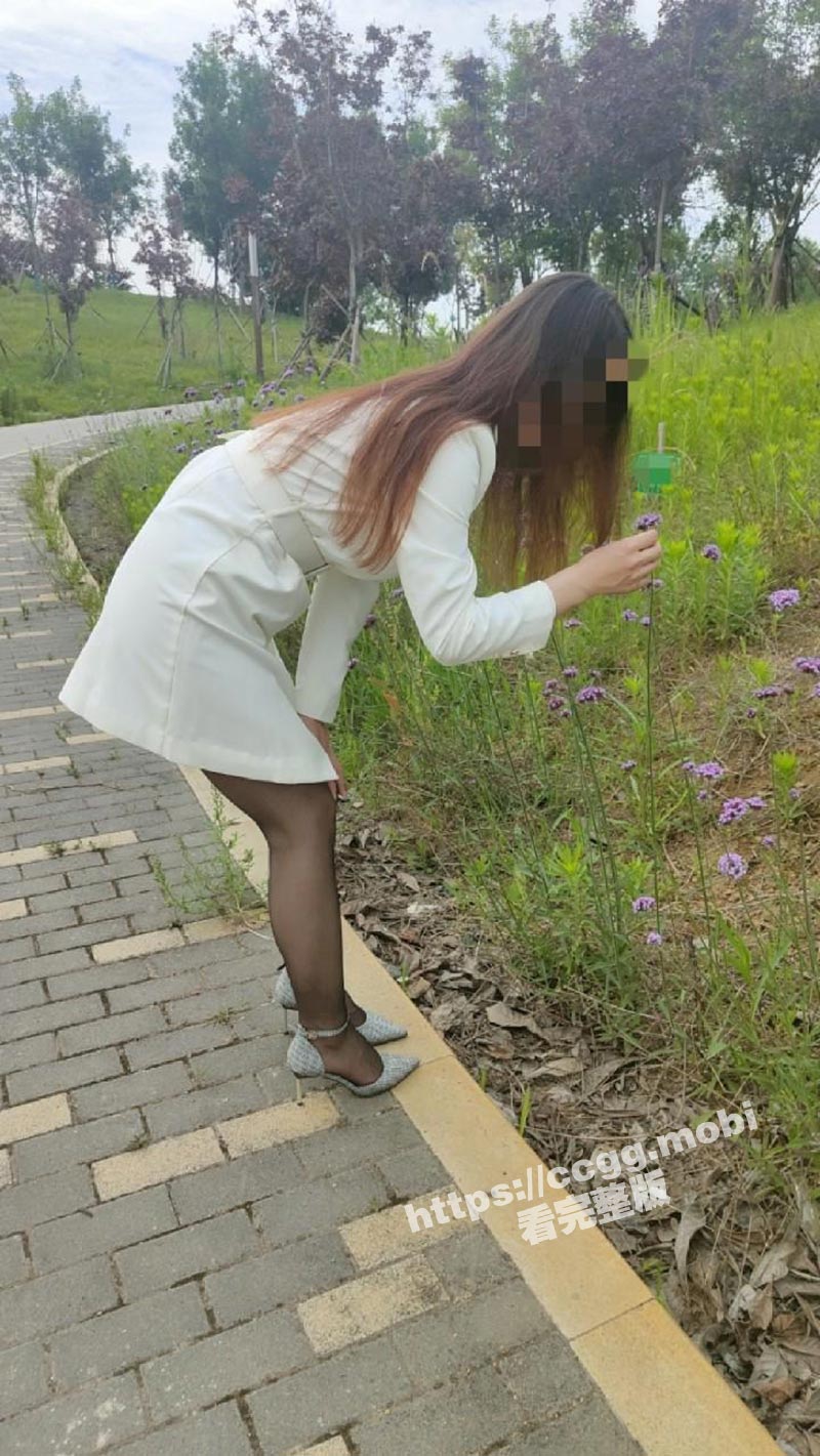 a3.jpg