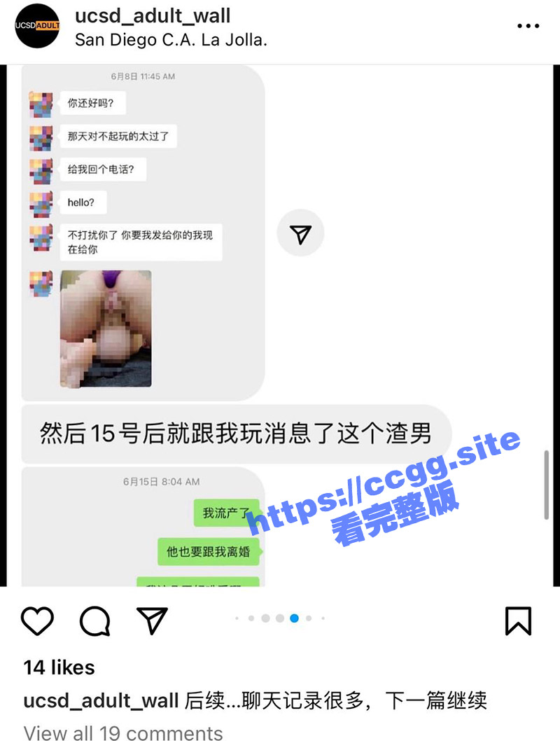 c8.jpg