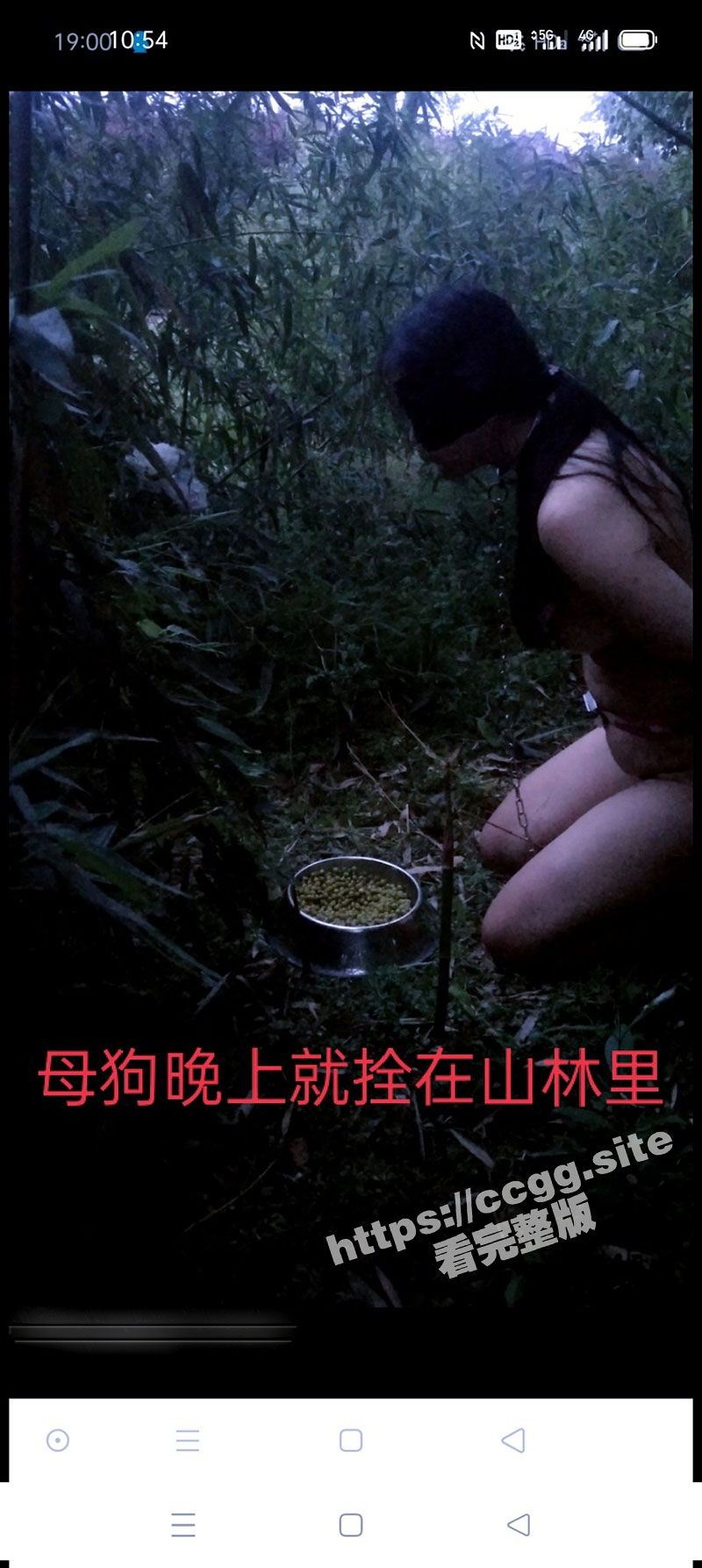 1-(13).jpg