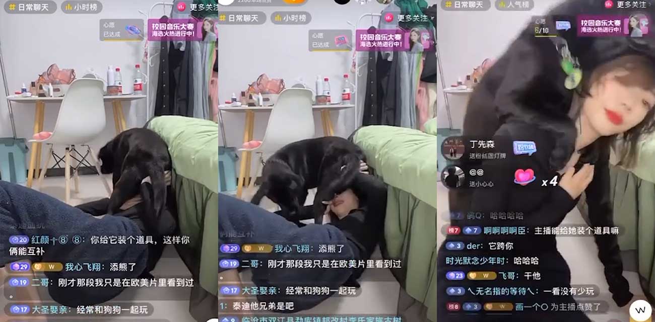 51吃瓜 2023/10/20 每日大瓜 TOP10