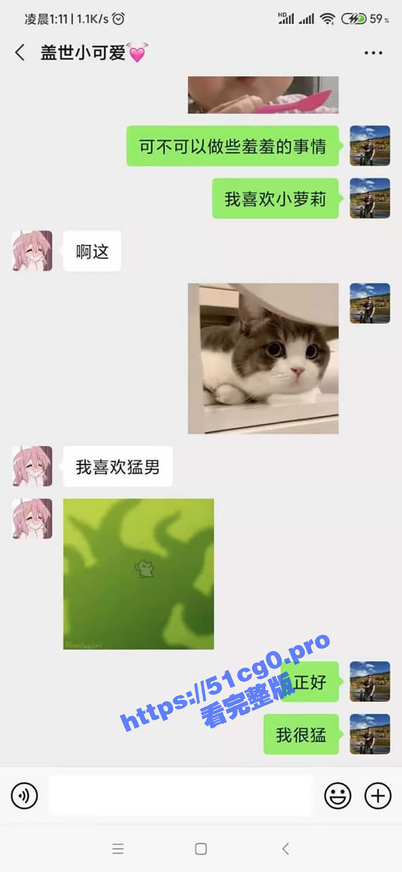 46.jpg
