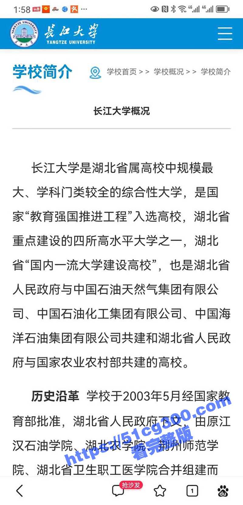 b8.jpg