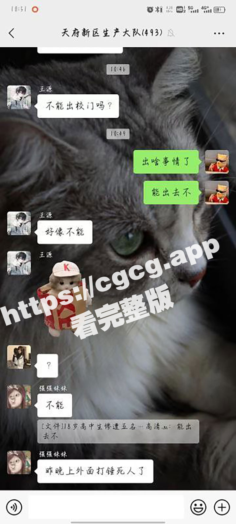 小菜鸡小身板 不行就不要学人打架 这下好了 旁人跪下求你不要死