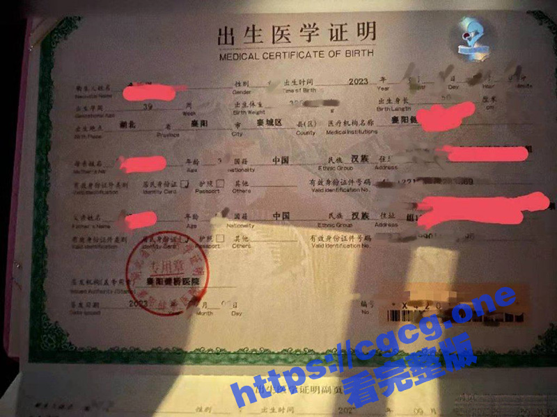49.jpg