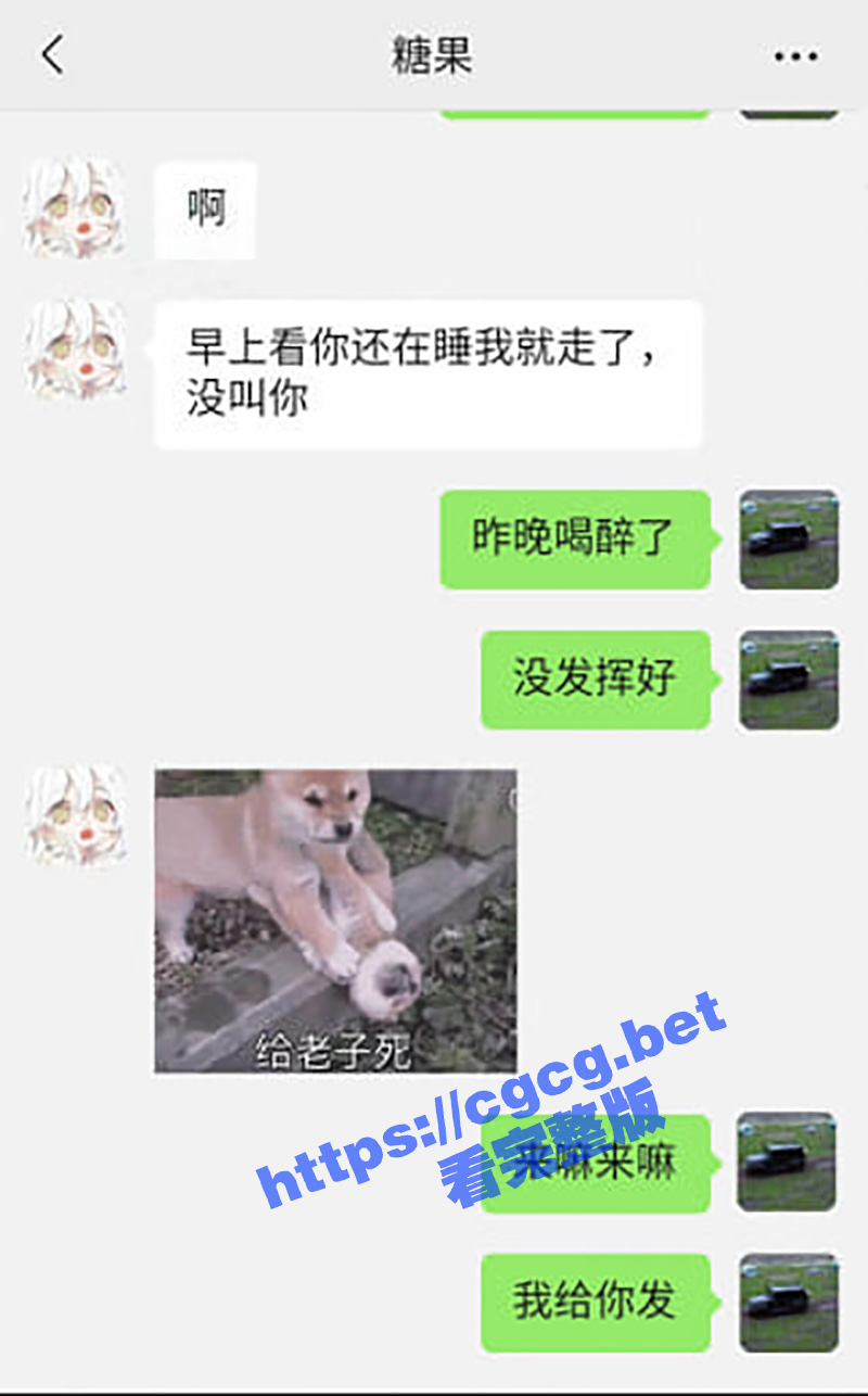 6.jpg