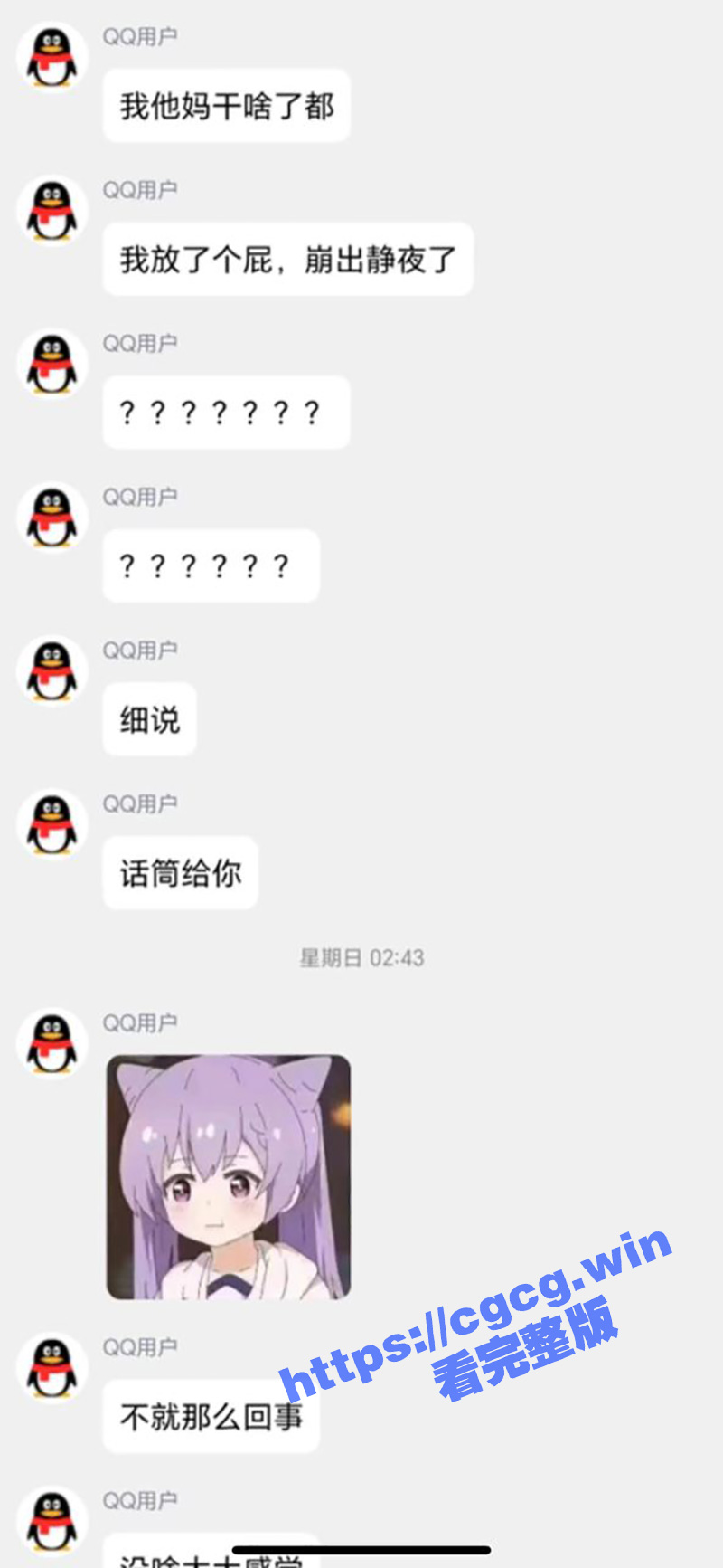 b8.jpg
