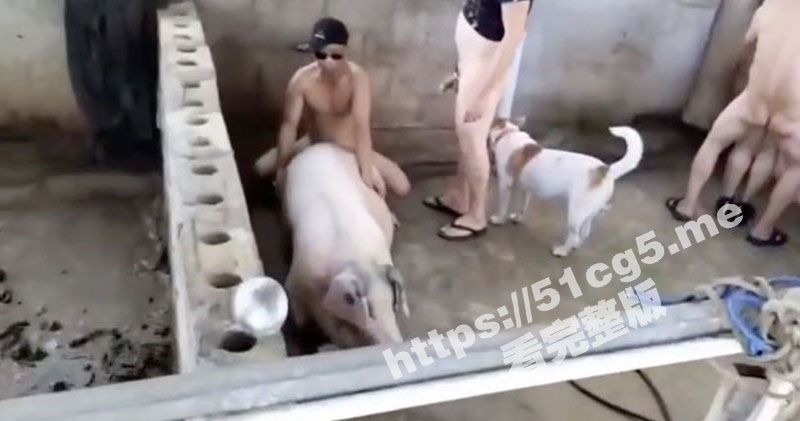 农家乐事件精华版 全世界最强的淫趴！不接受反驳