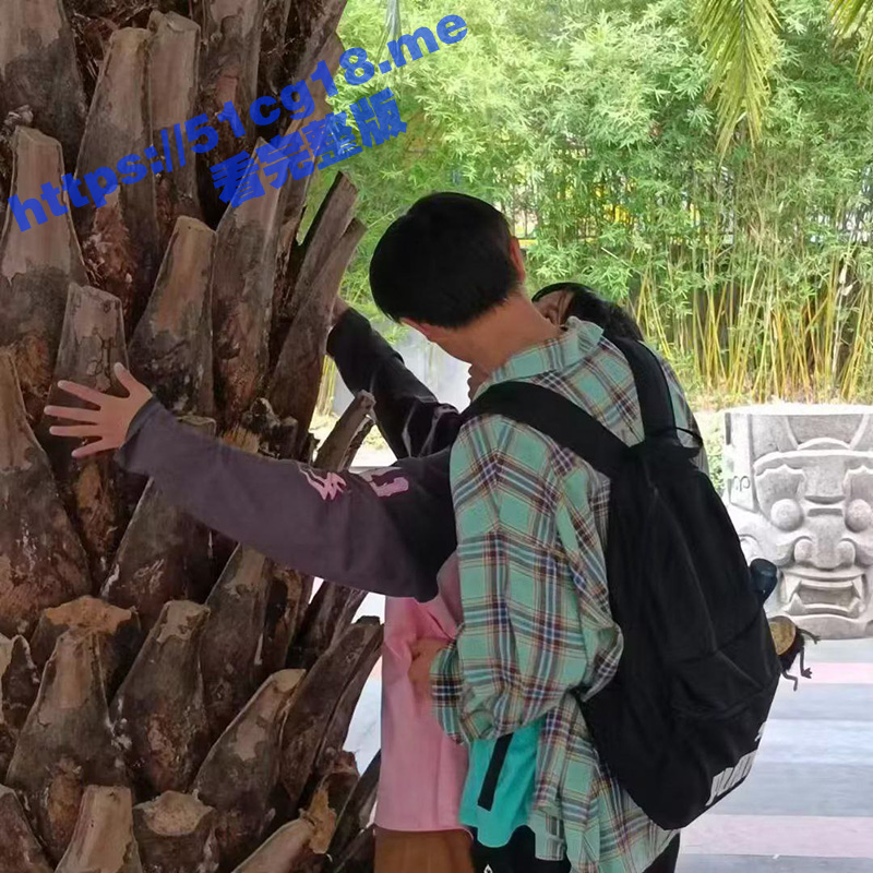41.jpg