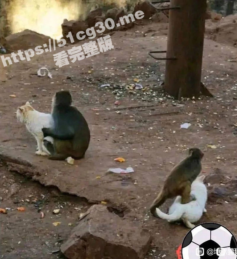 56.jpg