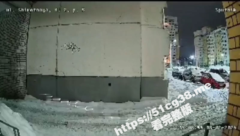 俄罗斯漂亮小姐姐拒不偿还黑帮债务 被人蹲守在公寓楼前绑架带走 拉到野外全裸跪在地上被黑帮成员轮流爆操