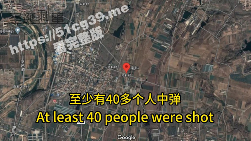 49.jpg