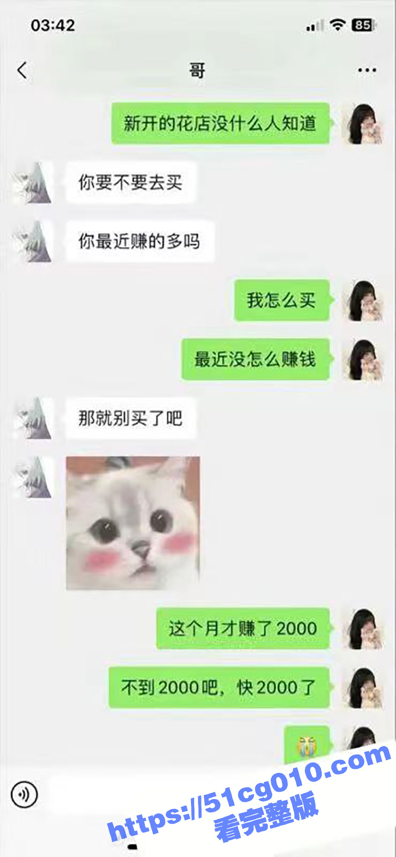b8.jpg