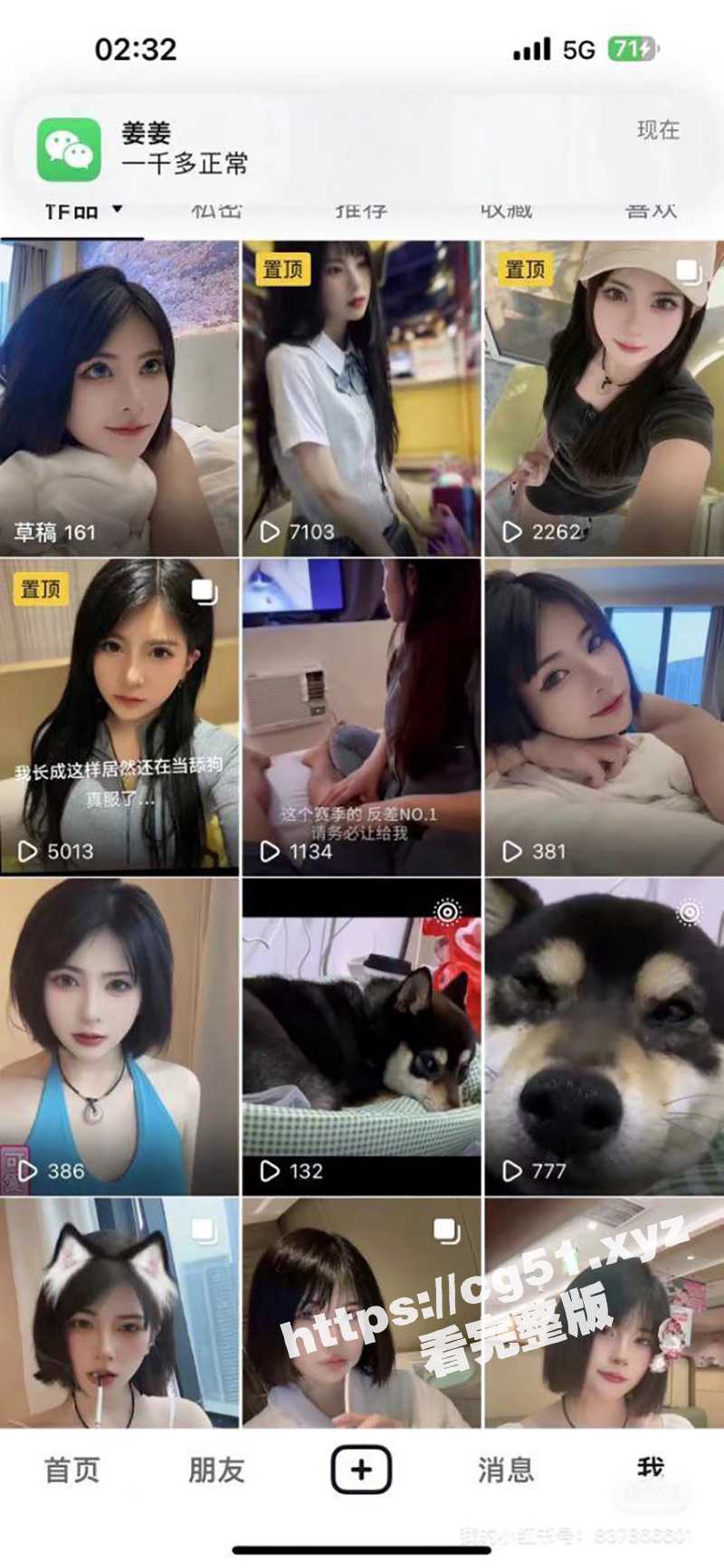 53.jpg