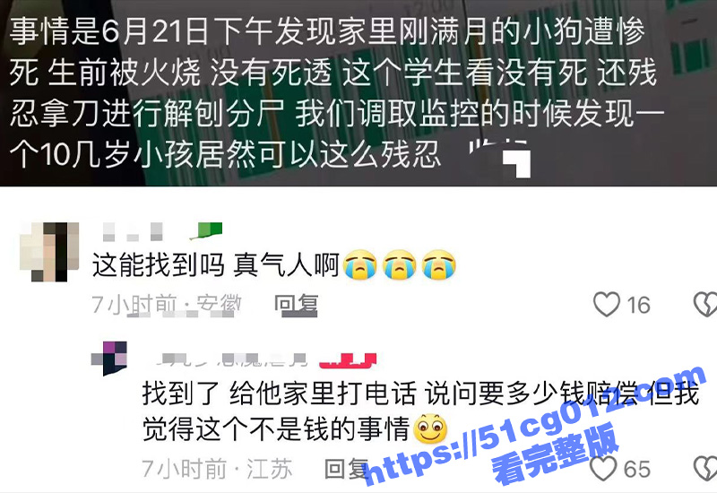 江苏淮安小畜生虐杀满月小狗 火烧未死再刀砍分尸 残忍至极