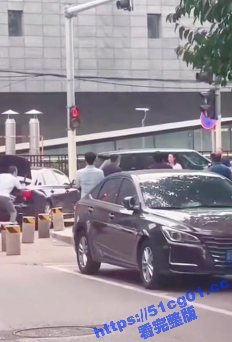 奥迪京爷VS路虎京爷 奥迪男被路虎老娘们揍晕 趟地上一动不动 开路虎的就是虎！