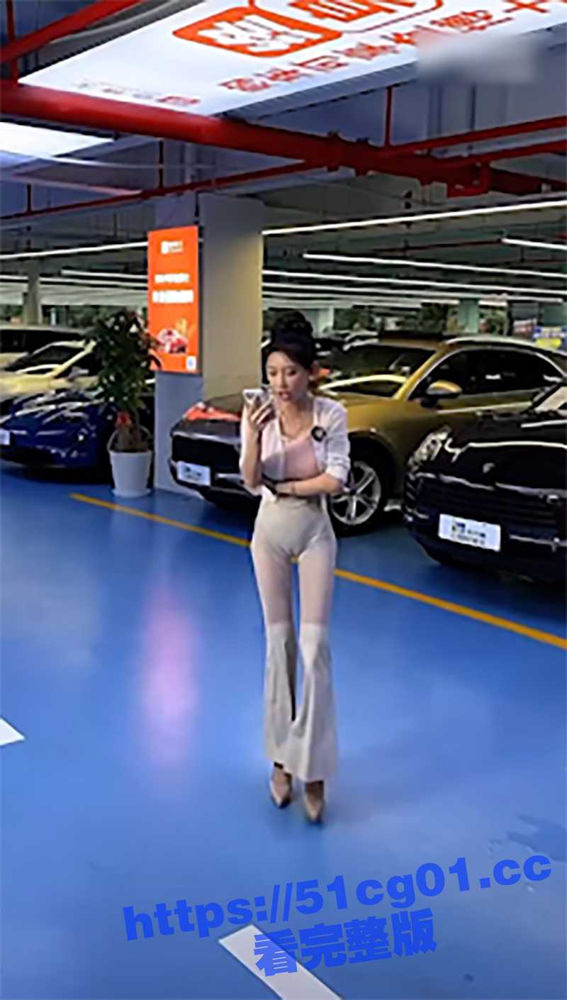 抖音卖车太卷了 品牌老板开启直播搞流量 二手车商只能用女主播搞擦边 户型轮廓看的一清二楚