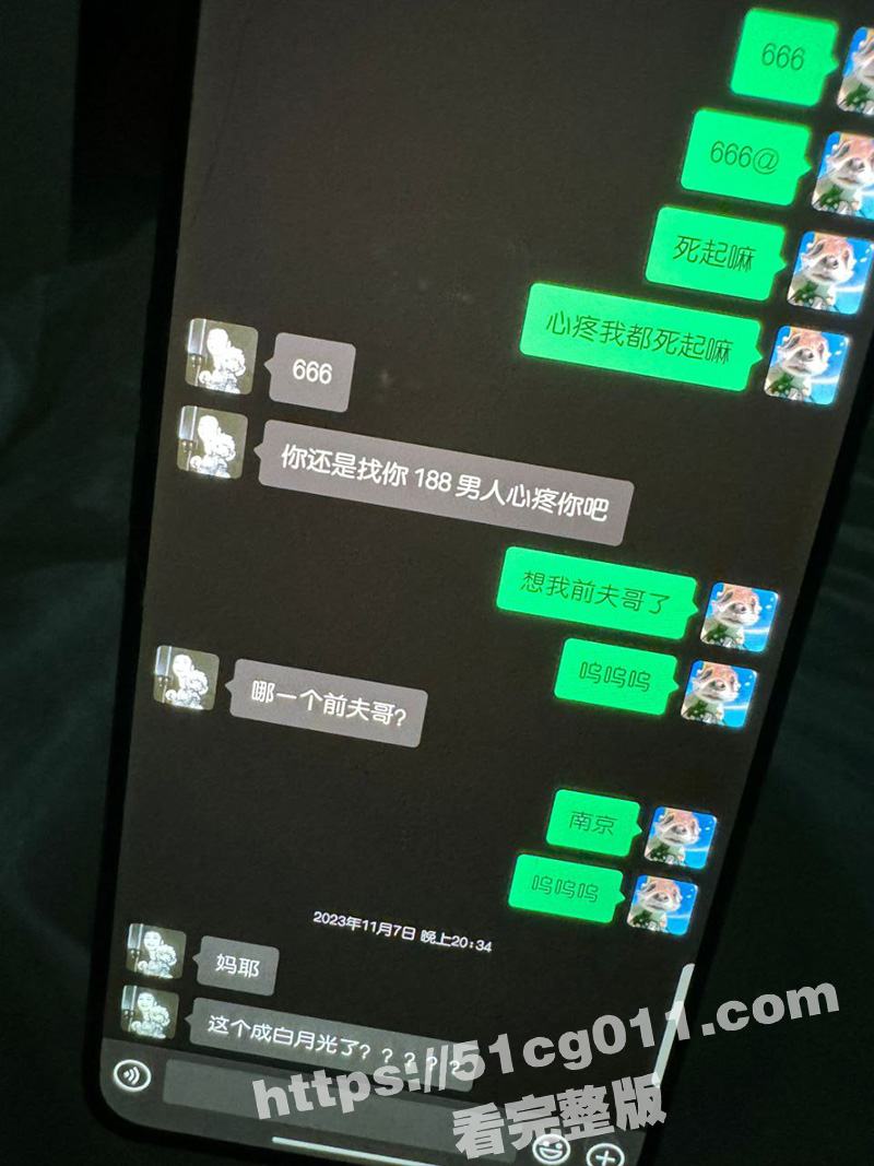 b21.jpg