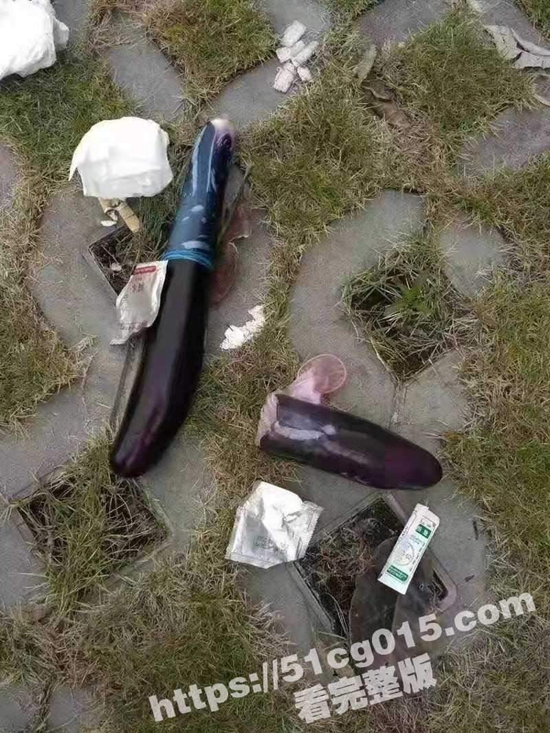 妇女之宝 茄子 的正确使用方法！注意一定要科学使用 否则很容易取不出来！