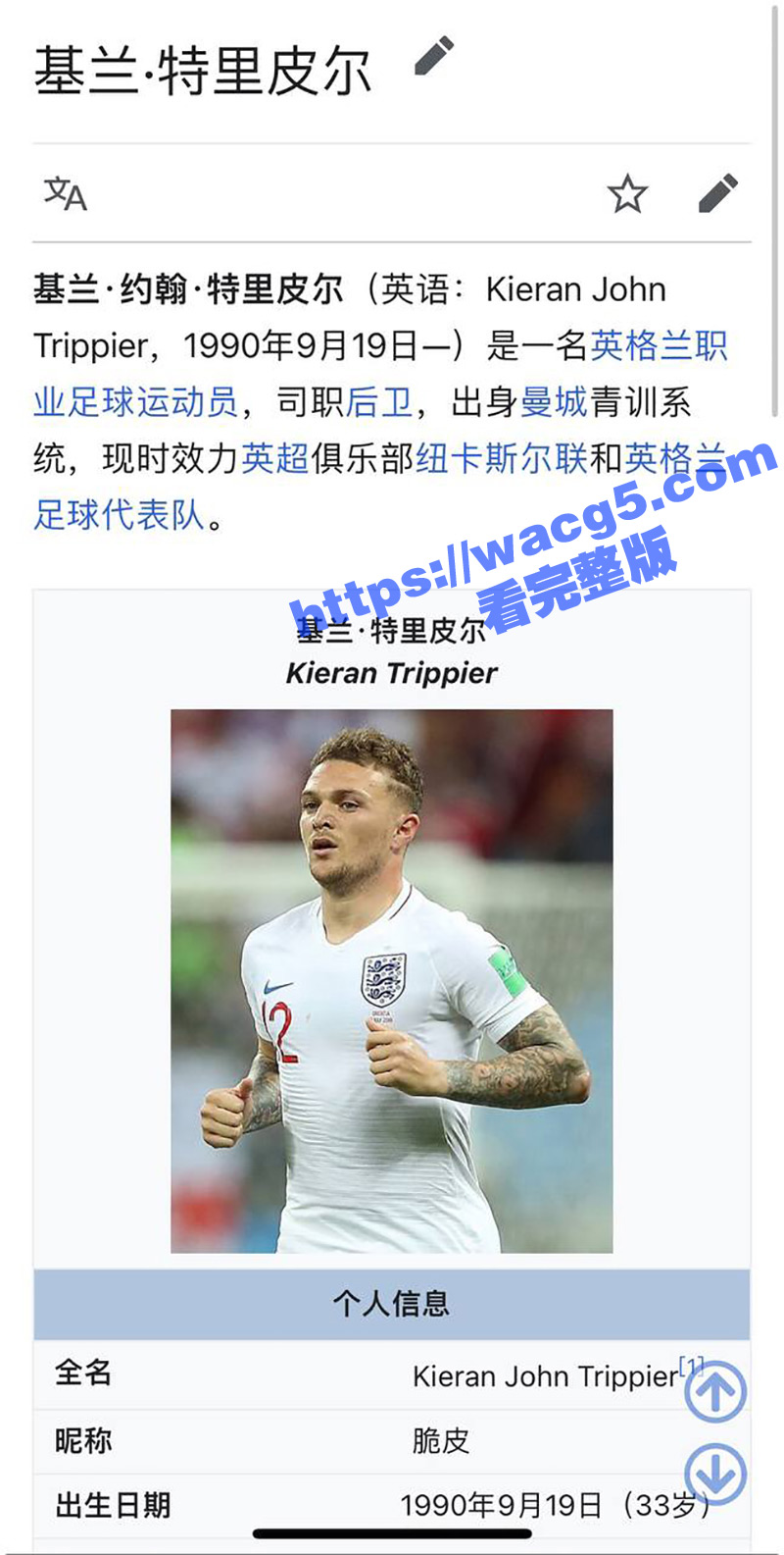英超足球队员 特里皮尔婚内出轨 带情人回家被其老婆发现 并曝光4分27秒做爱视频！
