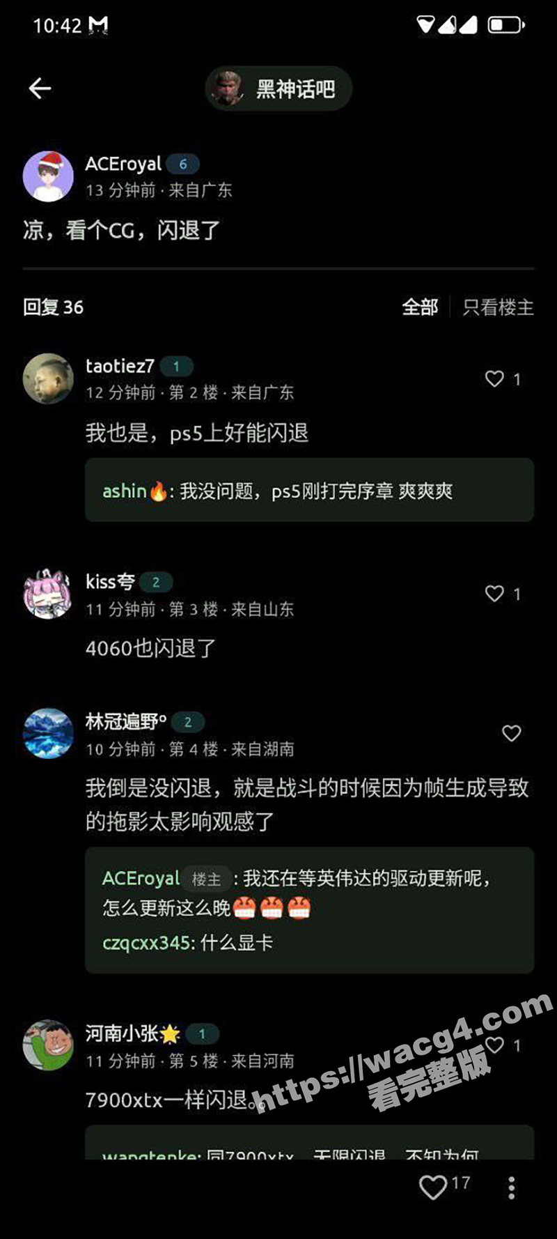 53.jpg