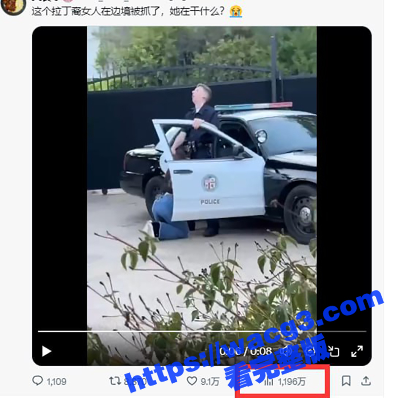 外网疯传拉丁裔美女边境被抓 跪在地上当场给美国警察口交 尽显母狗本色