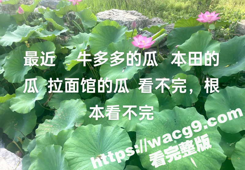 全网疯求的青海本田车震瓜震撼来袭！青海回教伊斯兰妹子主动翘臀挨屌淫叫连连 车震到双腿发软！