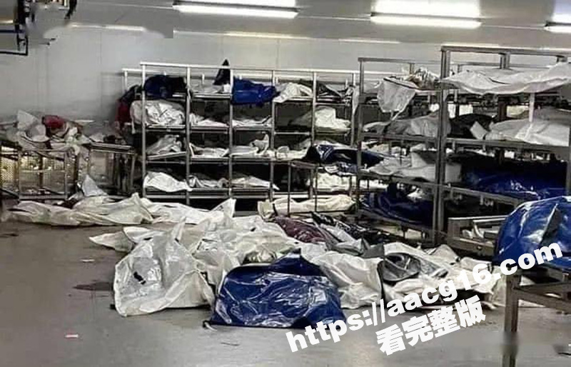 哥伦比亚机库发现2万相关图片
