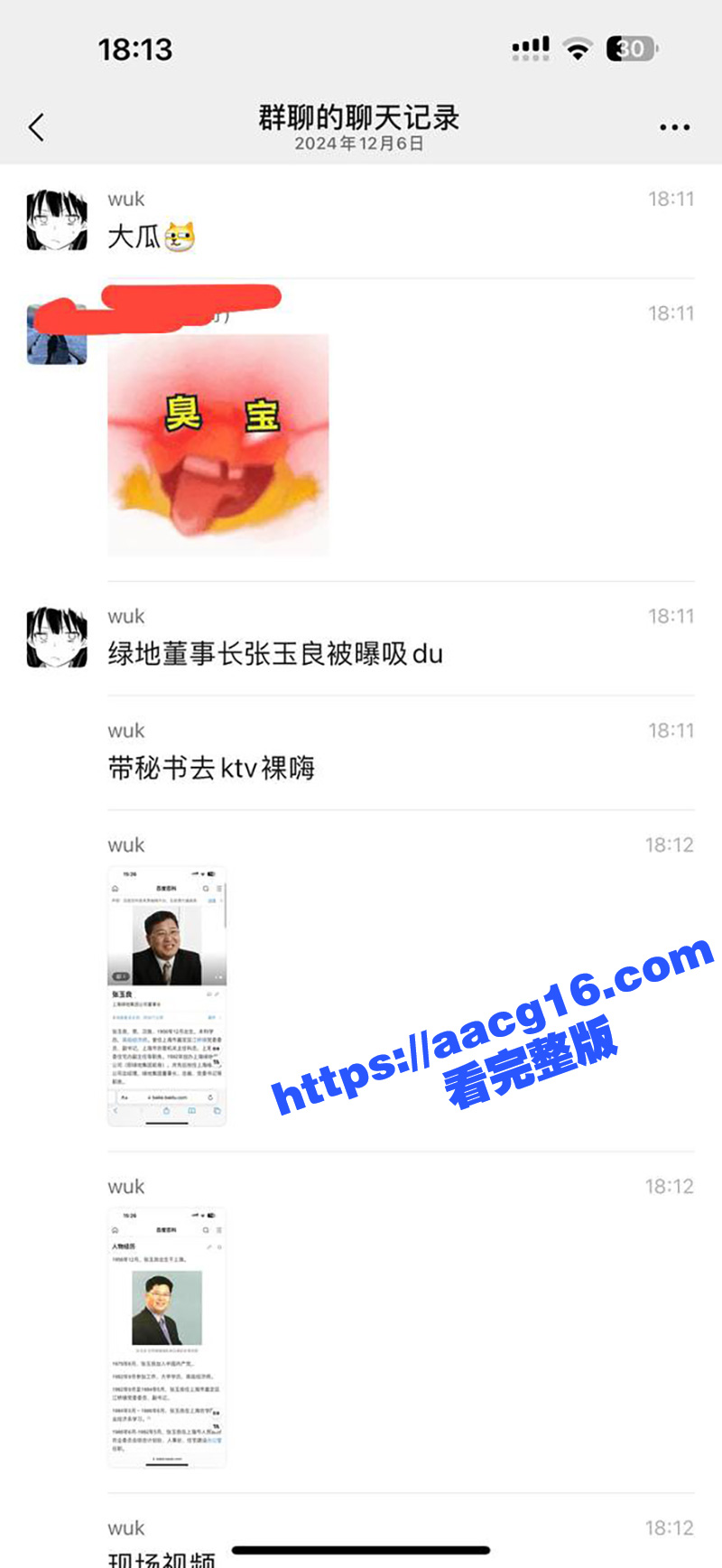 上海绿地集团董事长 总裁张玉良性丑闻 张玉良吸毒 带女秘书去KTV裸嗨！女秘书用嘴帮忙释放压力 不雅视频流出