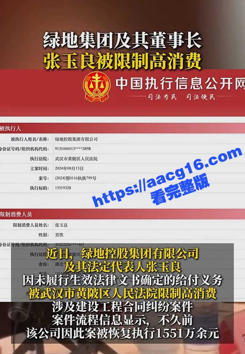 上海绿地集团董事长 相关图片