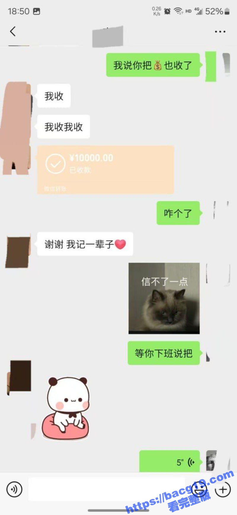 7_W_800px.jpg