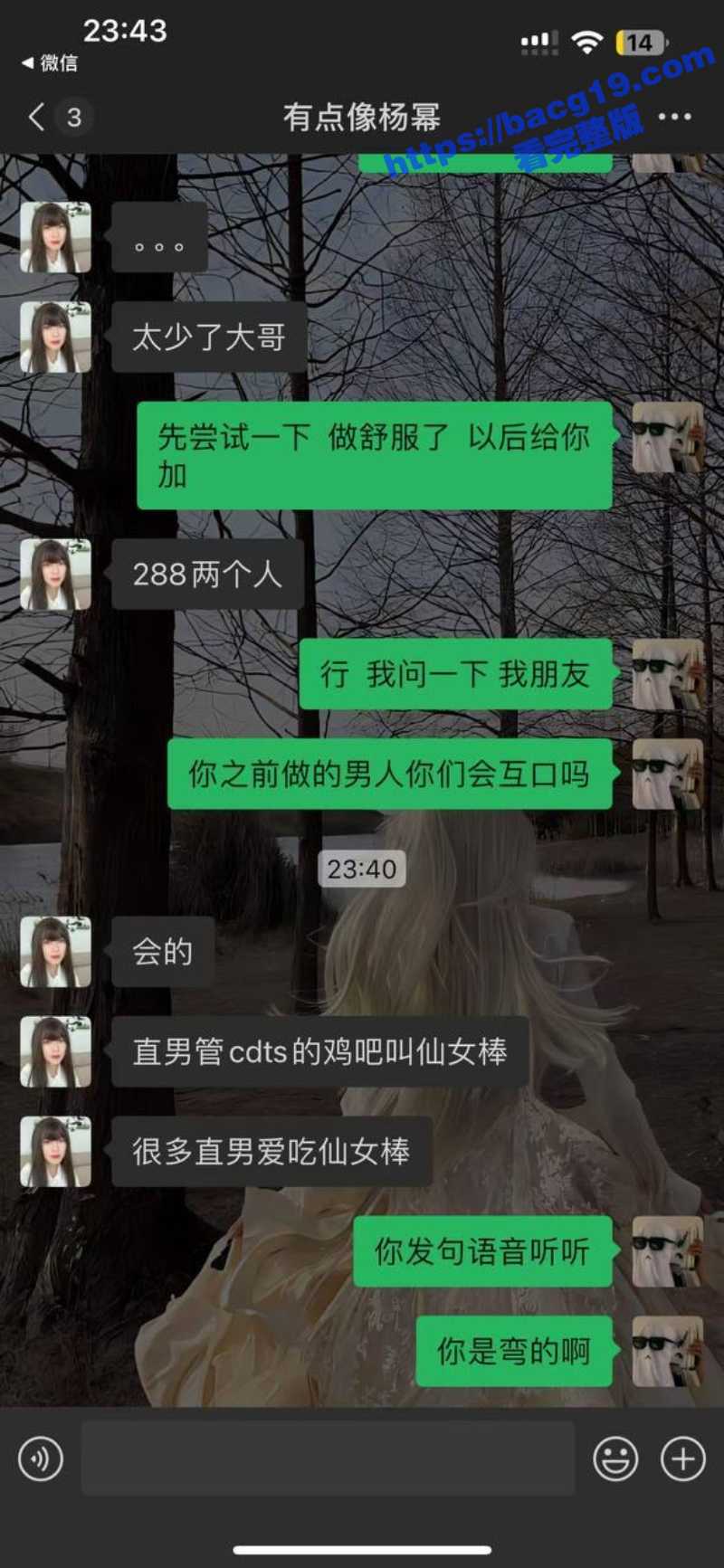 6_W_800px.jpg