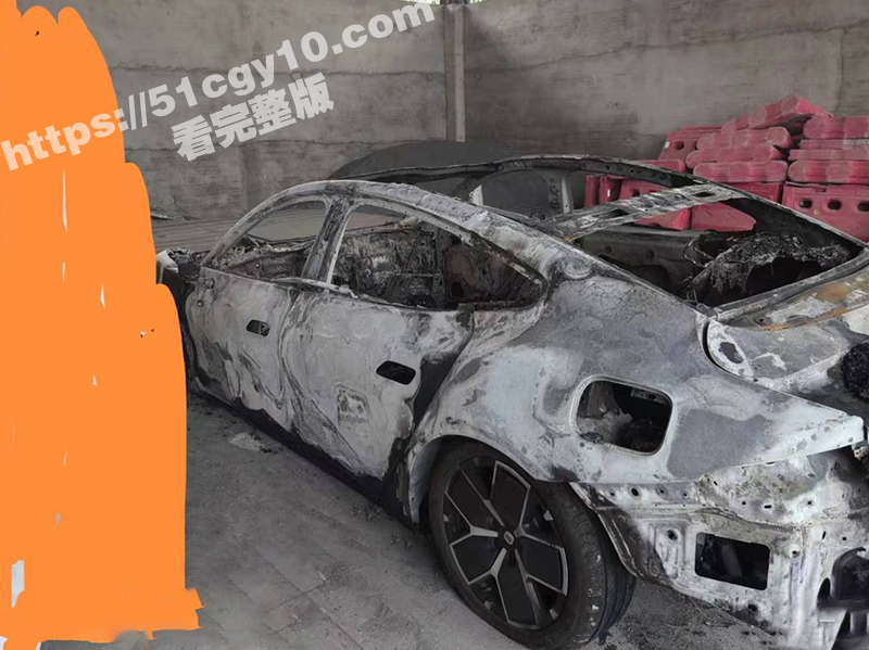 小米su7车祸爆燃女生尸体曝光-11