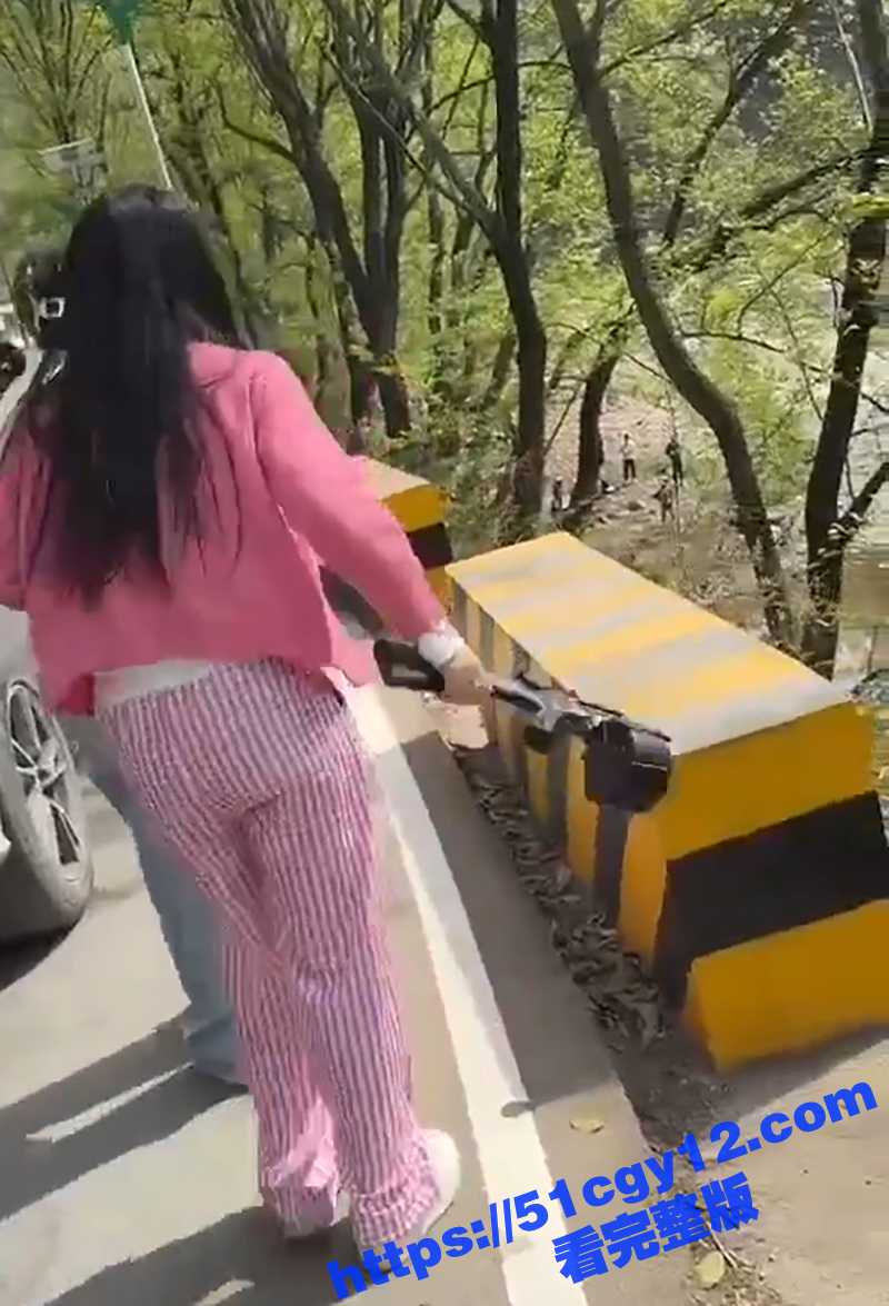 游客打架掏枪- (8)