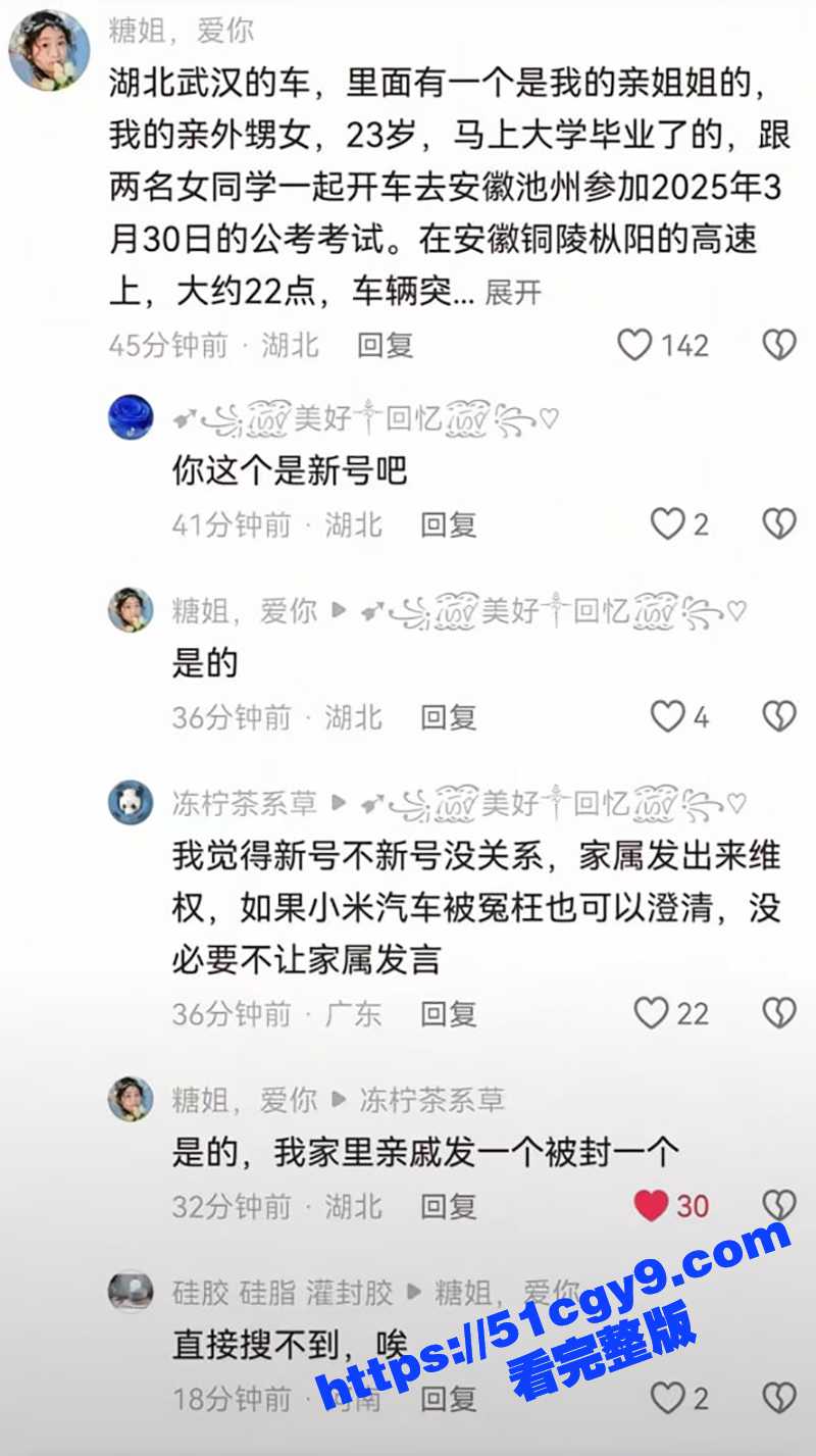 小米SU7车祸 (15)