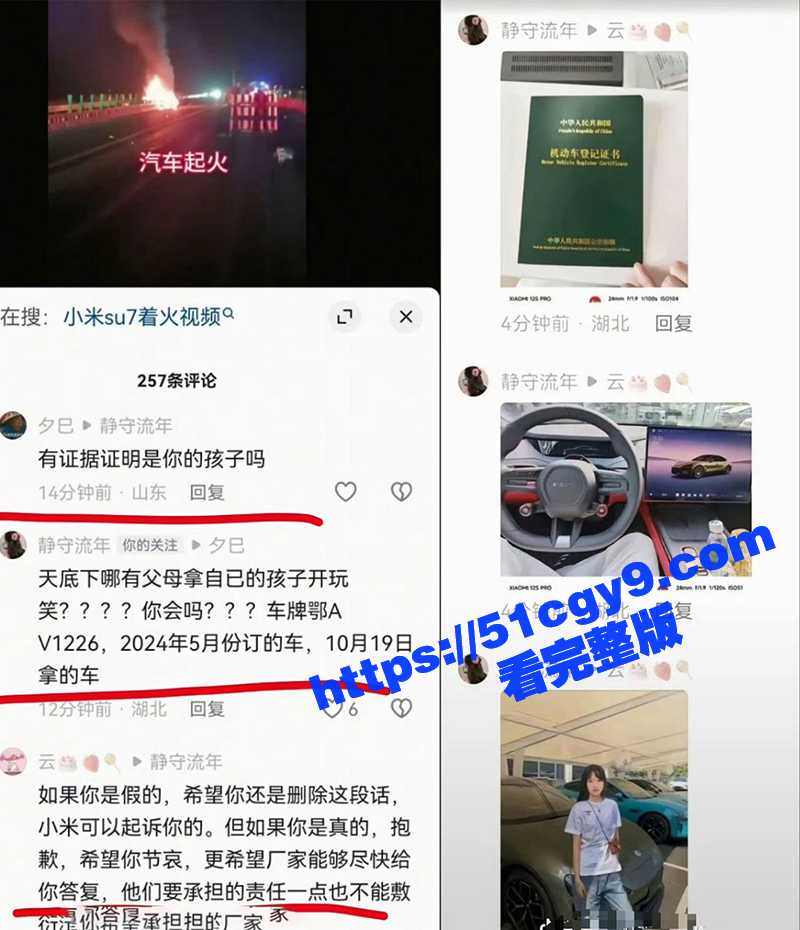 小米SU7车祸 (14)