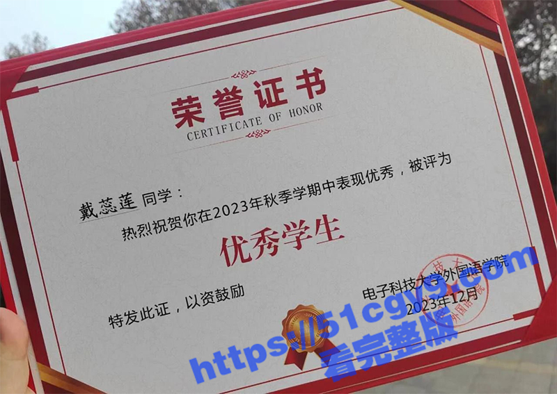 成都电子科技大学戴蕊莲-5