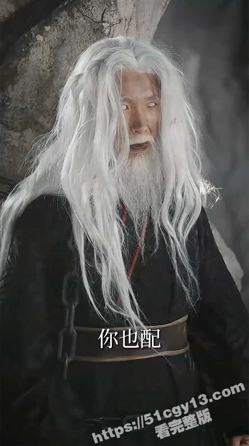 短剧侠骨剑心林青青完整版（4）