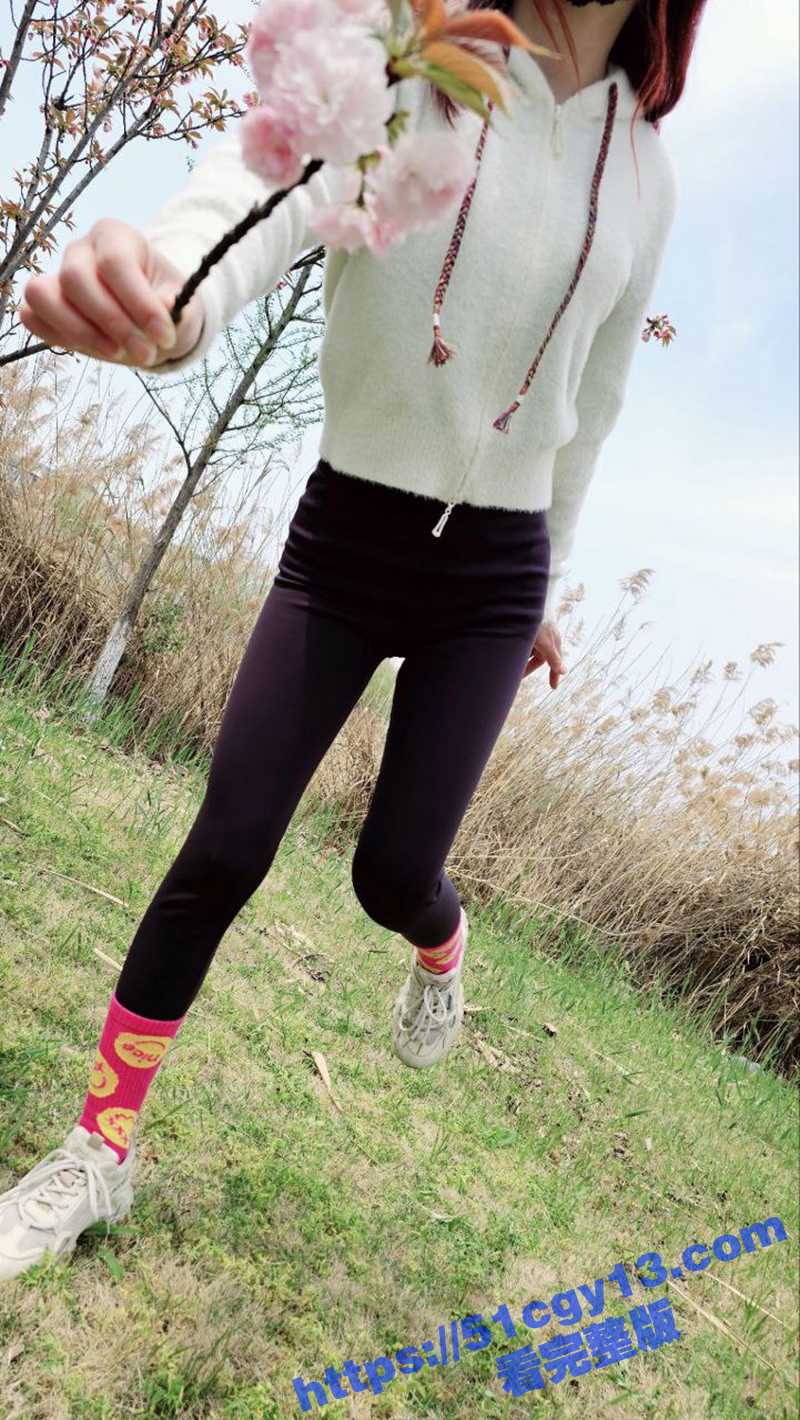 IMAGE 2025-04-12 13_53_44