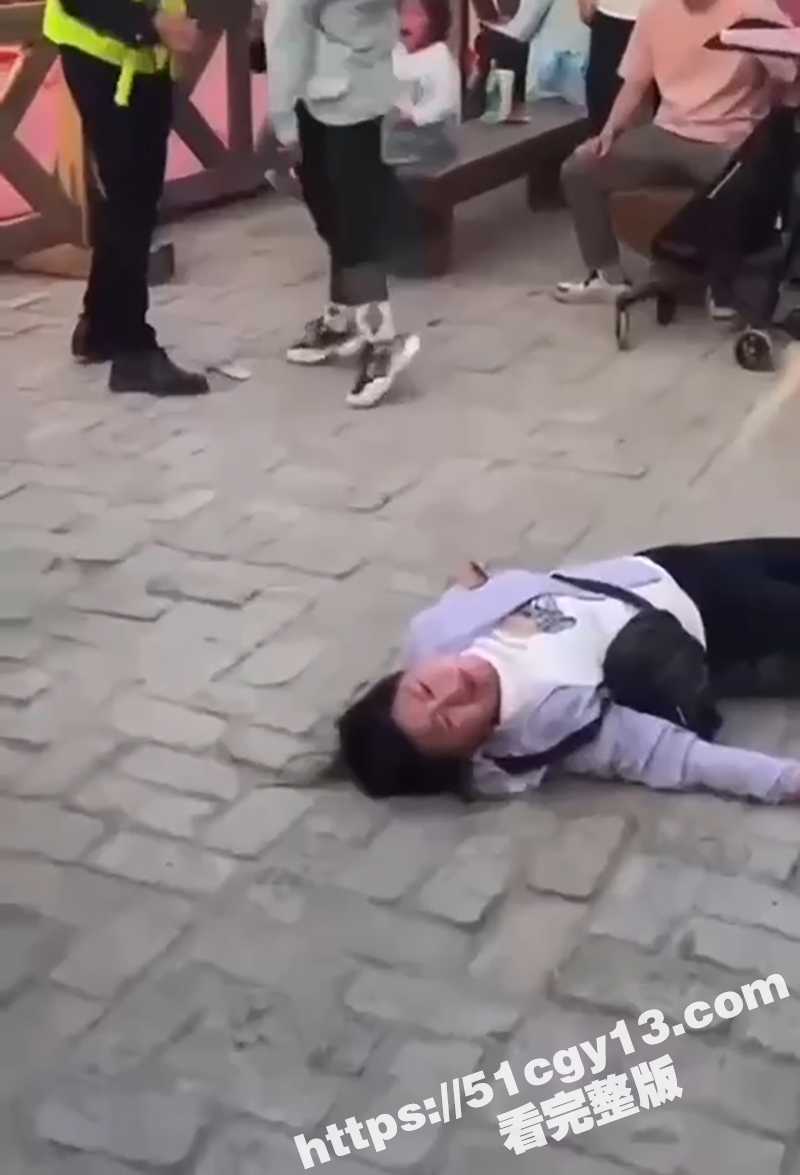 万岁山打架视频 (7)