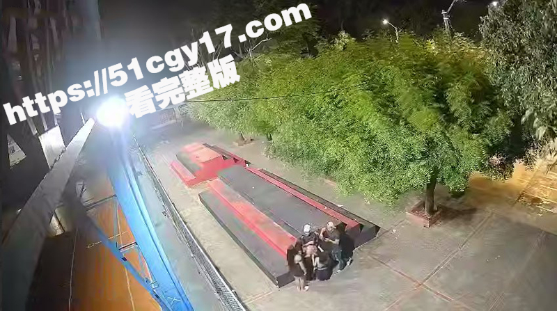 欧美公园群P监控（4）