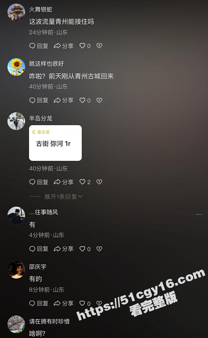 青州古城后入 (12)