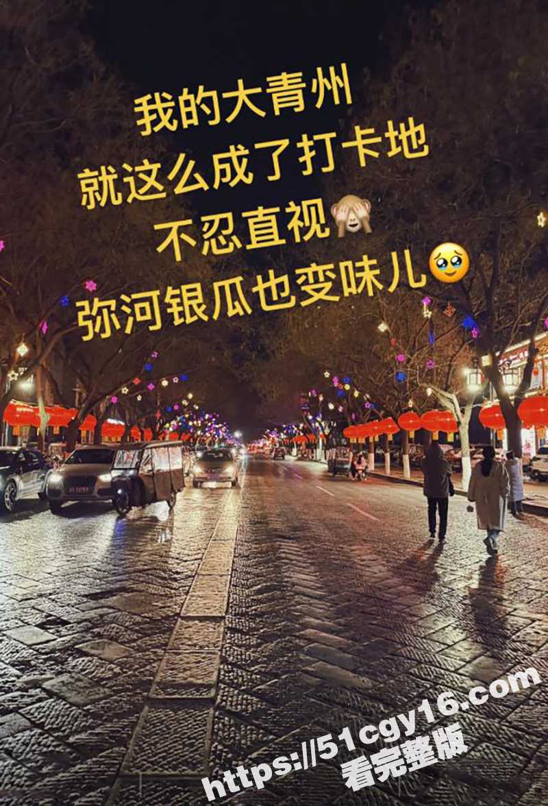 青州古城后入 (8)