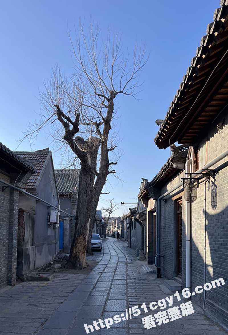 青州古城后入 (10)