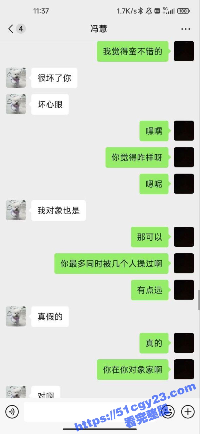 2 (11)