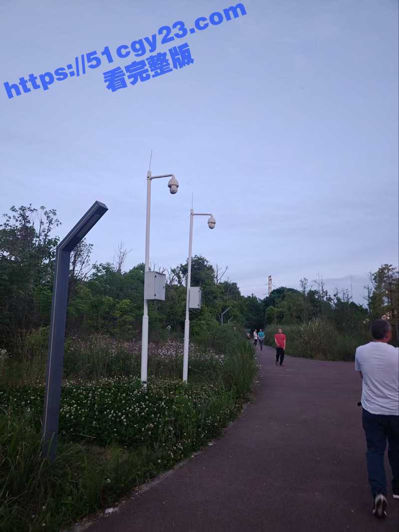 IMAGE 2025-05-08 19_43_47