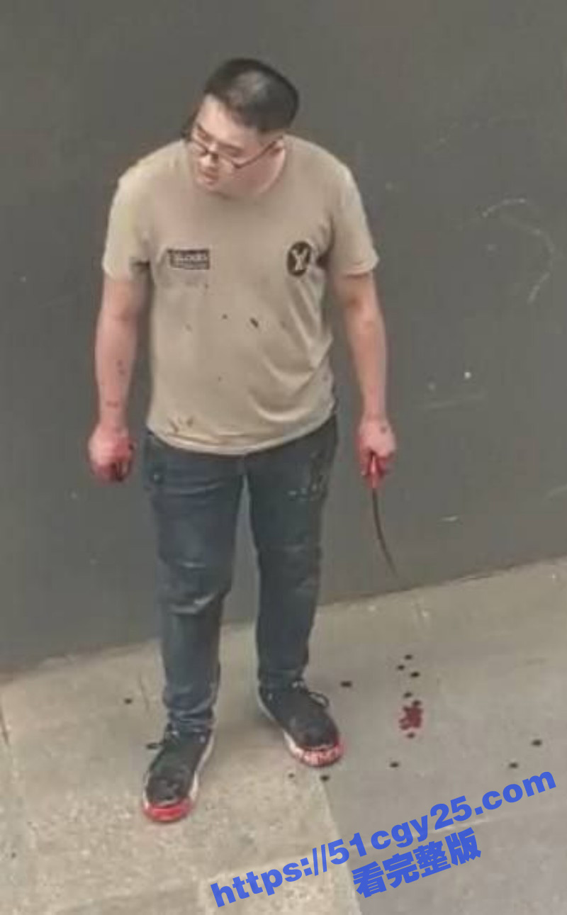 男子被荡妇戴绿帽心中愤慨 竟当街持刀杀妻 刀被捅弯后众人合力将其制服！