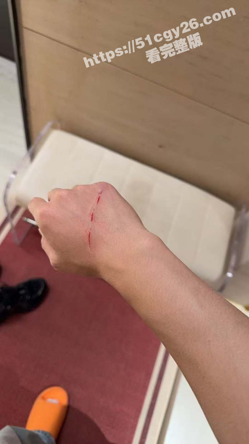 厦航空姐艾淼PUA男友出轨视频家暴男友（5）